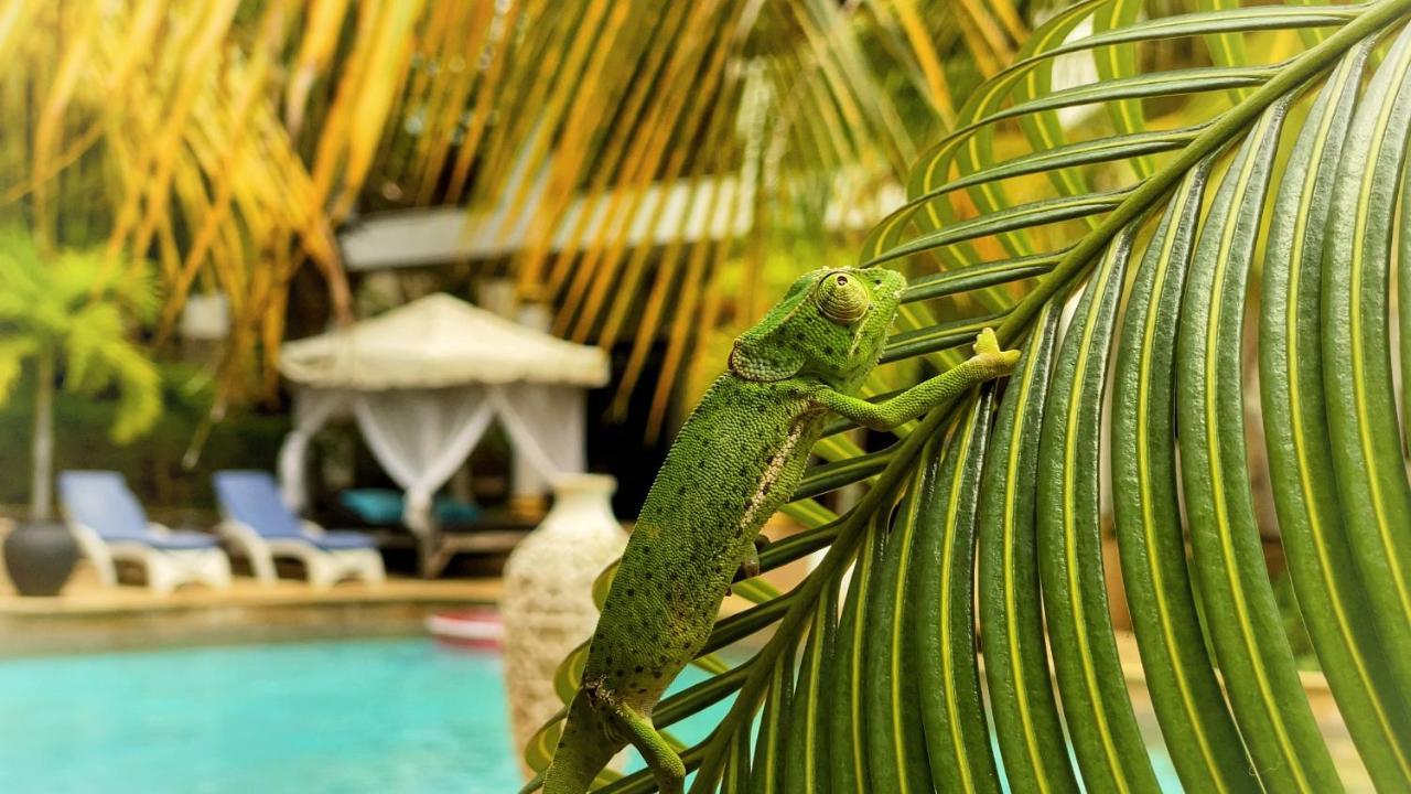 Kibanda Natural Kendwa Villa Luaran gambar